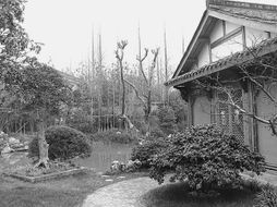 方寸苗圃，匠心筑夢 在有限空間里打造精品園林的藝術(shù)