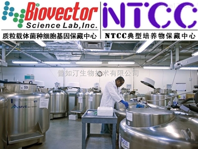 pAAV2/5載體系統(tǒng)技術(shù)開發(fā)與供應(yīng)趨勢分析